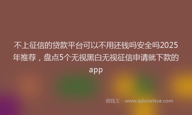不上征信的贷款平台可以不用还钱吗安全吗2025年推荐，盘点5个无视黑白无视征信申请就下款的app