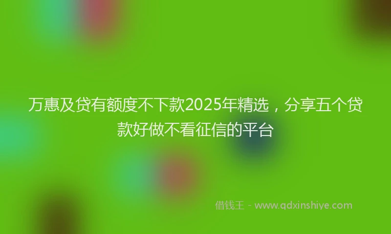 万惠及贷有额度不下款2025年精选，分享五个贷款好做不看征信的平台