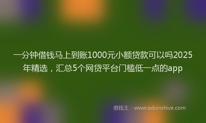 一分钟借钱马上到账1000元小额贷款可以吗2025年精选，汇总5个网贷平台门槛低一点的app