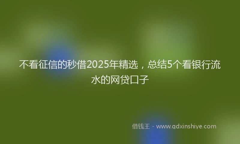 不看征信的秒借2025年精选，总结5个看银行流水的网贷口子