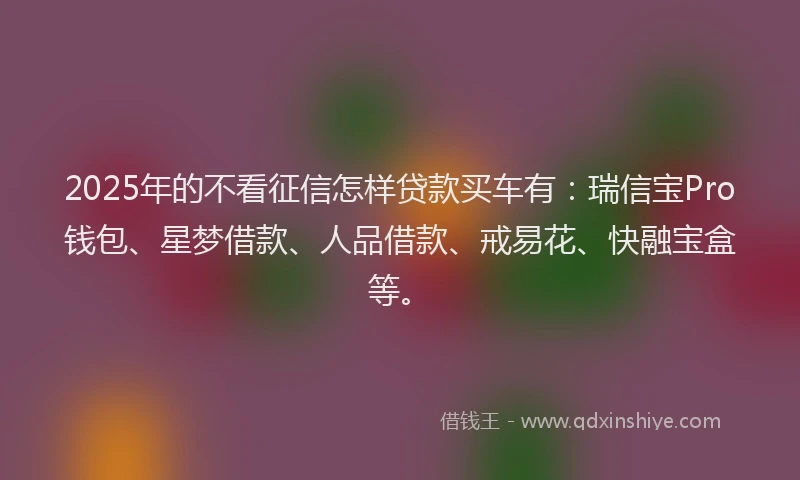 2025年的不看征信怎样贷款买车有：瑞信宝Pro钱包、星梦借款、人品借款、戒易花、快融宝盒等。