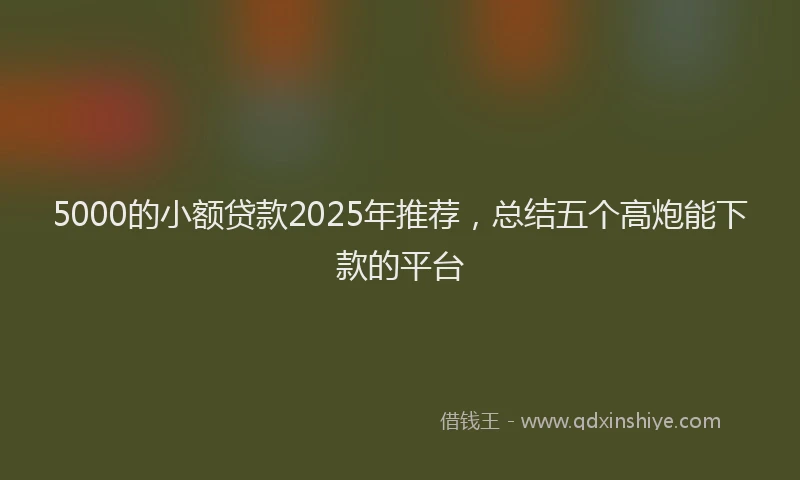 5000的小额贷款2025年推荐，总结五个高炮能下款的平台