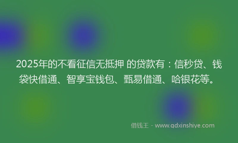 2025年的不看征信无抵押 的贷款有：信秒贷、钱袋快借通、智享宝钱包、甄易借通、哈银花等。