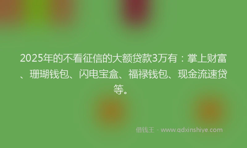2025年的不看征信的大额贷款3万有：掌上财富、珊瑚钱包、闪电宝盒、福禄钱包、现金流速贷等。