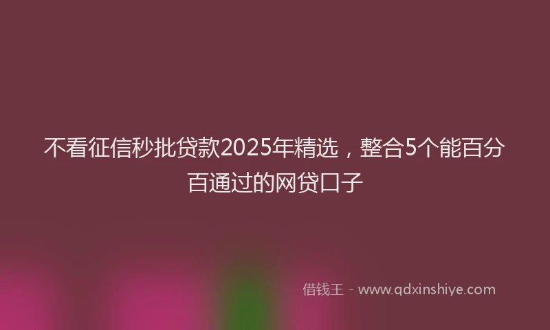 不看征信秒批贷款2025年精选，整合5个能百分百通过的网贷口子