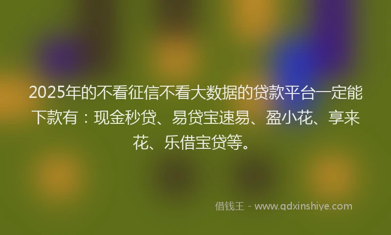2025年的不看征信不看大数据的贷款平台一定能下款有：现金秒贷、易贷宝速易、盈小花、享来花、乐借宝贷等。