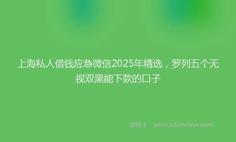 上海私人借钱应急微信2025年精选，罗列五个无视双黑能下款的口子