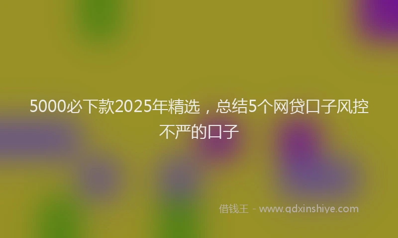 5000必下款2025年精选，总结5个网贷口子风控不严的口子