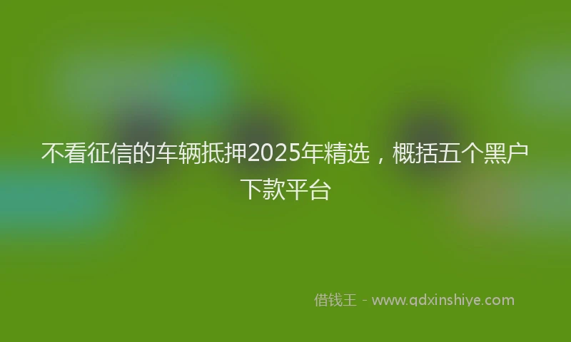 不看征信的车辆抵押2025年精选，概括五个黑户下款平台