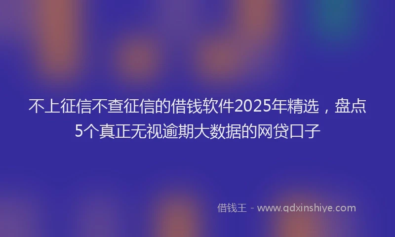 不上征信不查征信的借钱软件2025年精选，盘点5个真正无视逾期大数据的网贷口子
