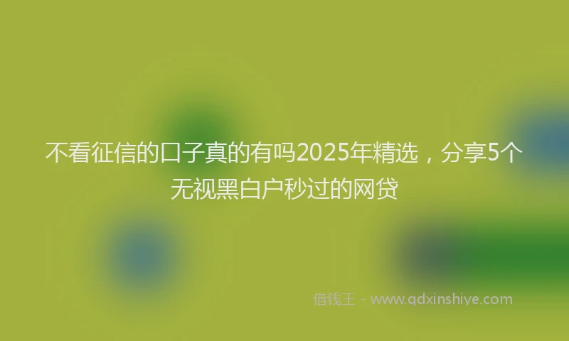 不看征信的口子真的有吗2025年精选，分享5个无视黑白户秒过的网贷