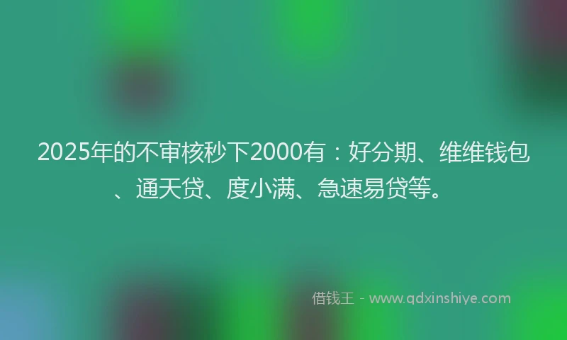 2025年的不审核秒下2000有：好分期、维维钱包、通天贷、度小满、急速易贷等。
