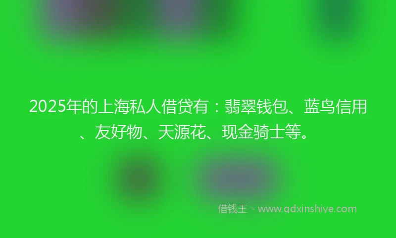 2025年的上海私人借贷有：翡翠钱包、蓝鸟信用、友好物、天源花、现金骑士等。