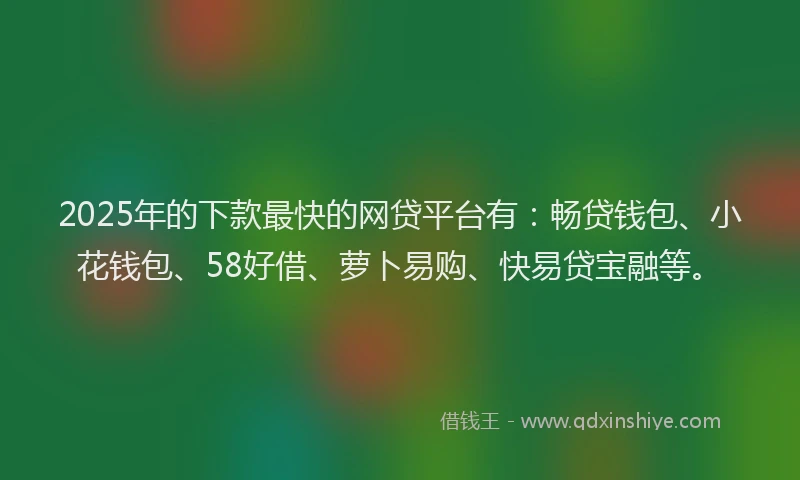 2025年的下款最快的网贷平台有：畅贷钱包、小花钱包、58好借、萝卜易购、快易贷宝融等。