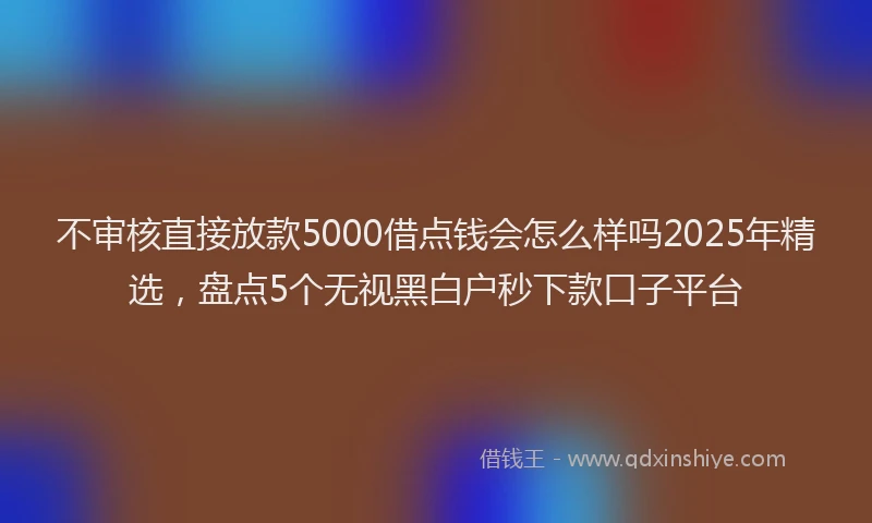 不审核直接放款5000借点钱会怎么样吗2025年精选，盘点5个无视黑白户秒下款口子平台