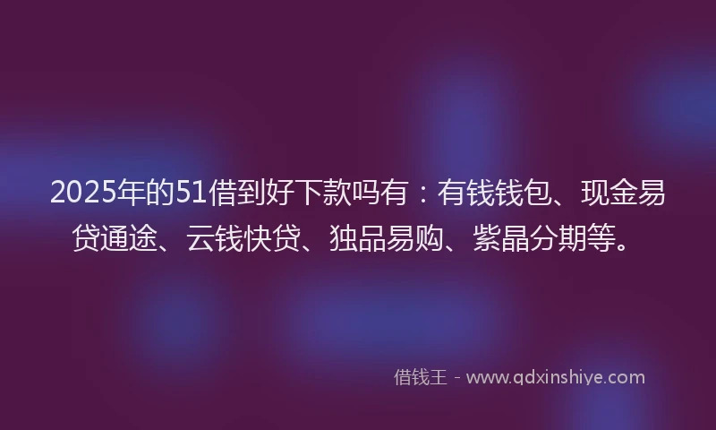 2025年的51借到好下款吗有：有钱钱包、现金易贷通途、云钱快贷、独品易购、紫晶分期等。