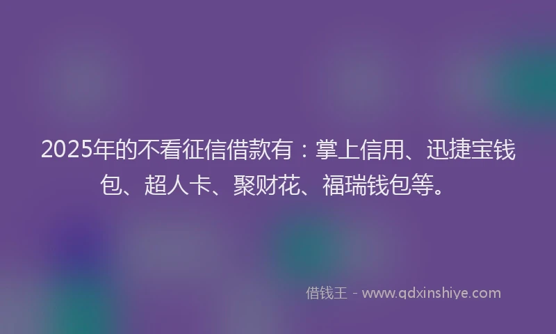 2025年的不看征信借款有：掌上信用、迅捷宝钱包、超人卡、聚财花、福瑞钱包等。