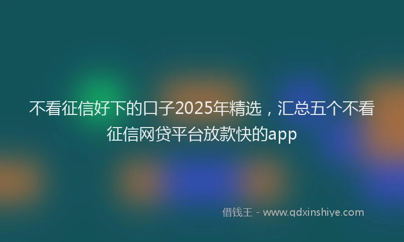 不看征信好下的口子2025年精选，汇总五个不看征信网贷平台放款快的app