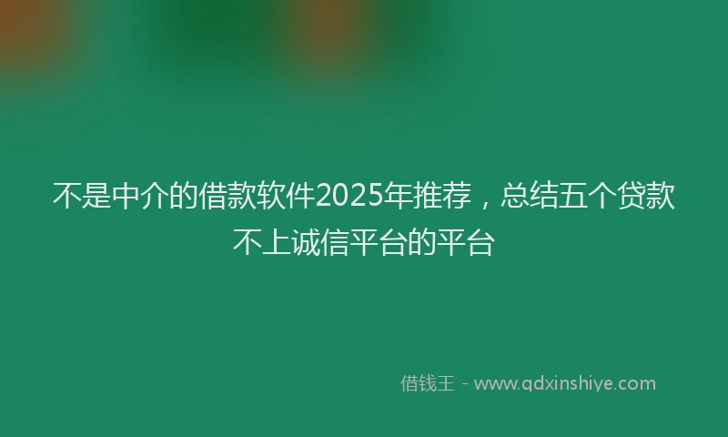 不是中介的借款软件2025年推荐，总结五个贷款不上诚信平台的平台