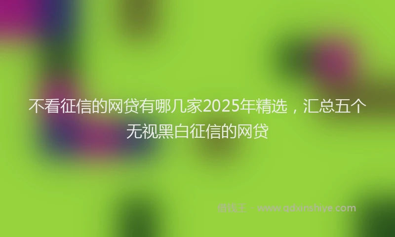 不看征信的网贷有哪几家2025年精选，汇总五个无视黑白征信的网贷