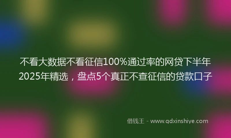 不看大数据不看征信100%通过率的网贷下半年2025年精选，盘点5个真正不查征信的贷款口子