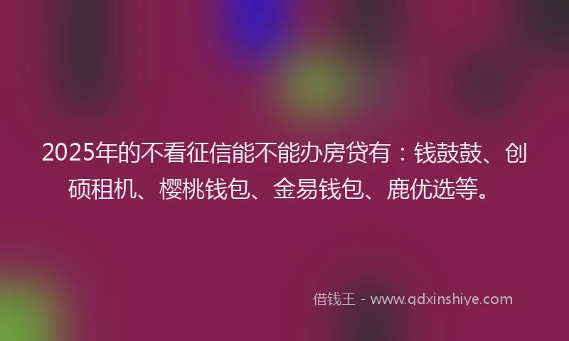 2025年的不看征信能不能办房贷有：钱鼓鼓、创硕租机、樱桃钱包、金易钱包、鹿优选等。