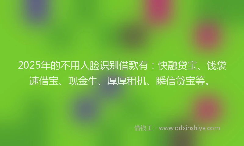 2025年的不用人脸识别借款有：快融贷宝、钱袋速借宝、现金牛、厚厚租机、瞬信贷宝等。
