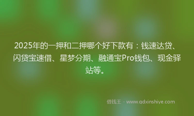 2025年的一押和二押哪个好下款有：钱速达贷、闪贷宝速借、星梦分期、融通宝Pro钱包、现金驿站等。