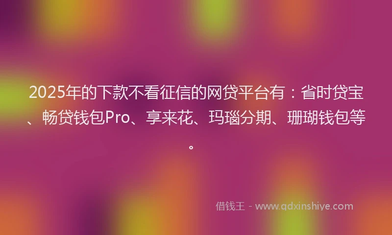2025年的下款不看征信的网贷平台有：省时贷宝、畅贷钱包Pro、享来花、玛瑙分期、珊瑚钱包等。