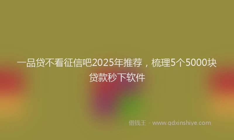 一品贷不看征信吧2025年推荐，梳理5个5000块贷款秒下软件