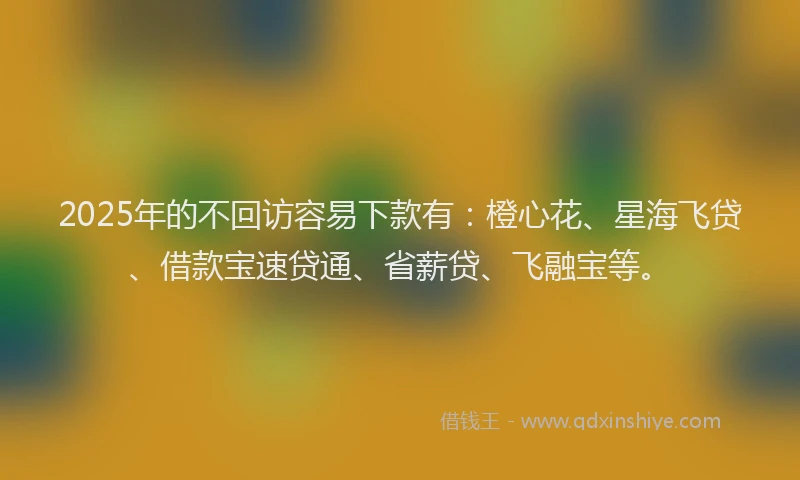 2025年的不回访容易下款有：橙心花、星海飞贷、借款宝速贷通、省薪贷、飞融宝等。