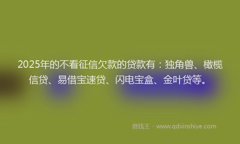 2025年的不看征信欠款的贷款有：独角兽、橄榄信贷、易借宝速贷、闪电宝盒、金叶贷等。