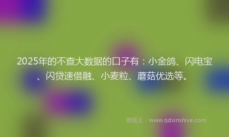2025年的不查大数据的口子有：小金鸽、闪电宝、闪贷速借融、小麦粒、蘑菇优选等。