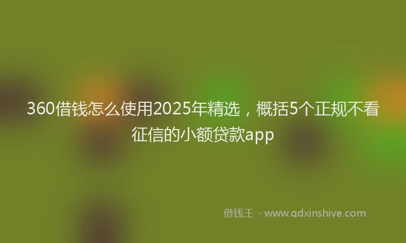 360借钱怎么使用2025年精选，概括5个正规不看征信的小额贷款app