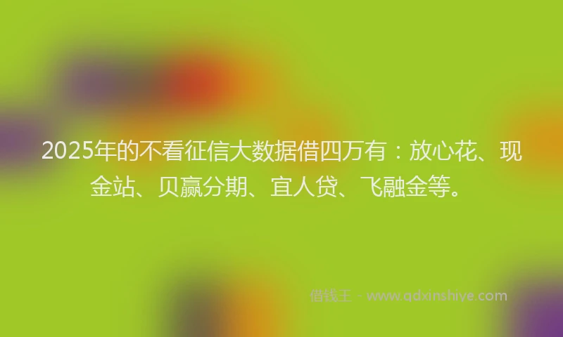 2025年的不看征信大数据借四万有：放心花、现金站、贝赢分期、宜人贷、飞融金等。