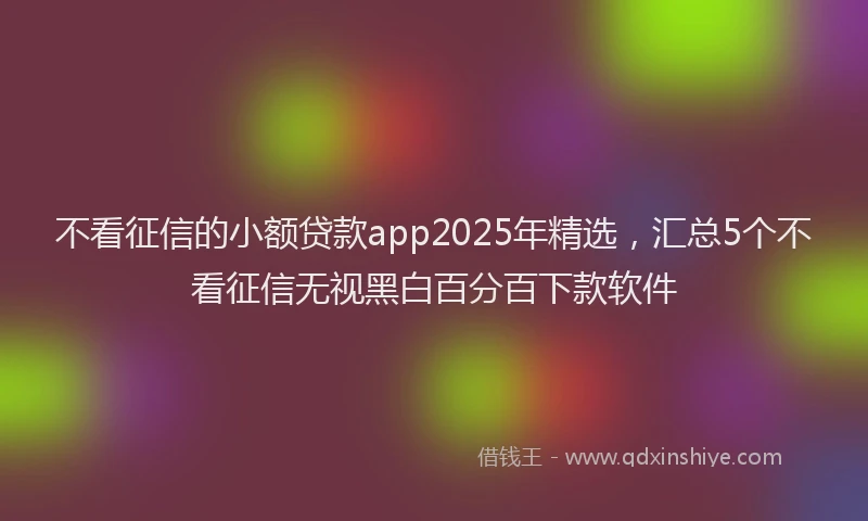 不看征信的小额贷款app2025年精选，汇总5个不看征信无视黑白百分百下款软件