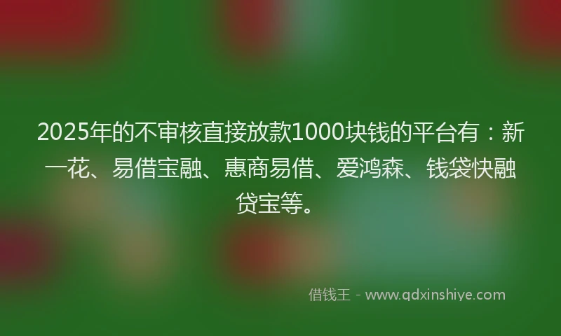 2025年的不审核直接放款1000块钱的平台有：新一花、易借宝融、惠商易借、爱鸿森、钱袋快融贷宝等。