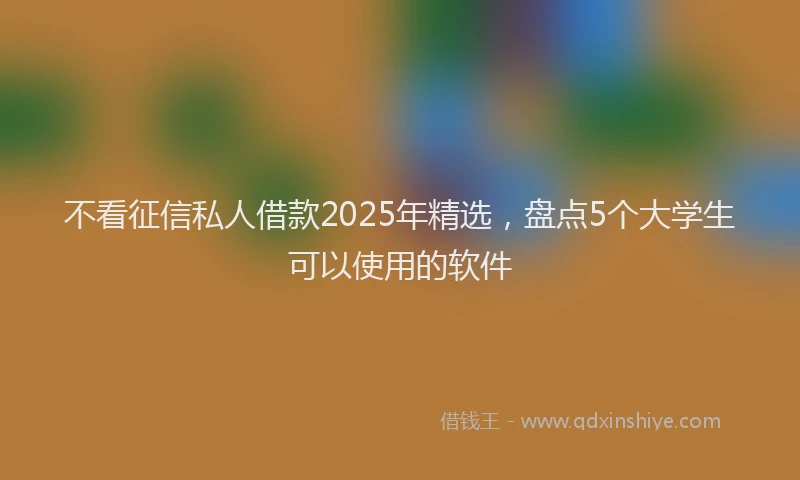 不看征信私人借款2025年精选，盘点5个大学生可以使用的软件