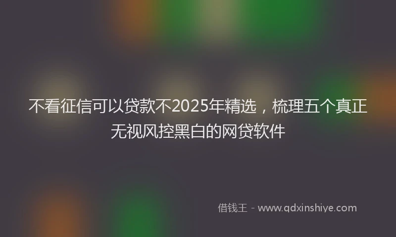 不看征信可以贷款不2025年精选，梳理五个真正无视风控黑白的网贷软件