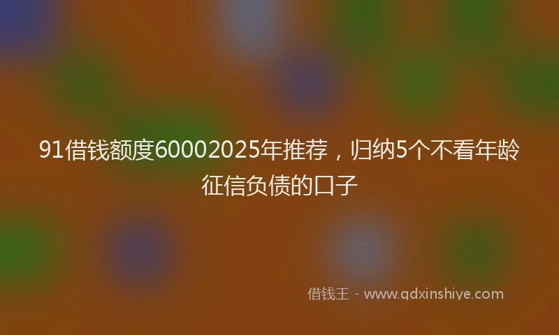 91借钱额度60002025年推荐，归纳5个不看年龄征信负债的口子
