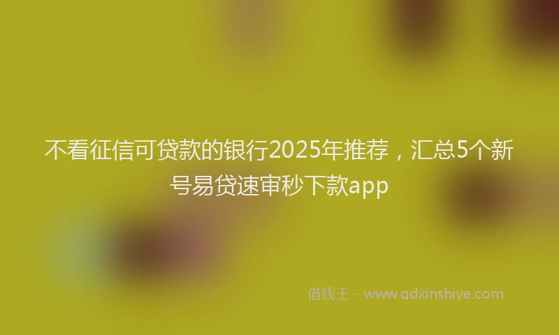 不看征信可贷款的银行2025年推荐，汇总5个新号易贷速审秒下款app