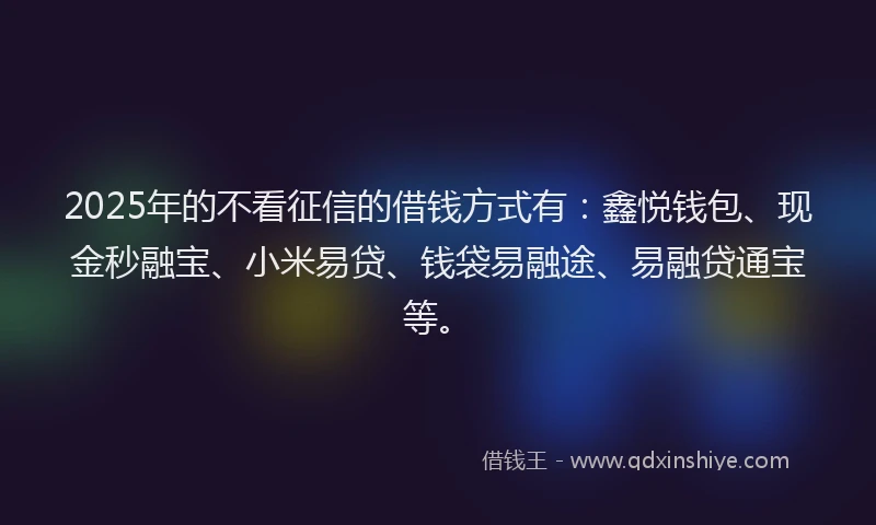 2025年的不看征信的借钱方式有：鑫悦钱包、现金秒融宝、小米易贷、钱袋易融途、易融贷通宝等。