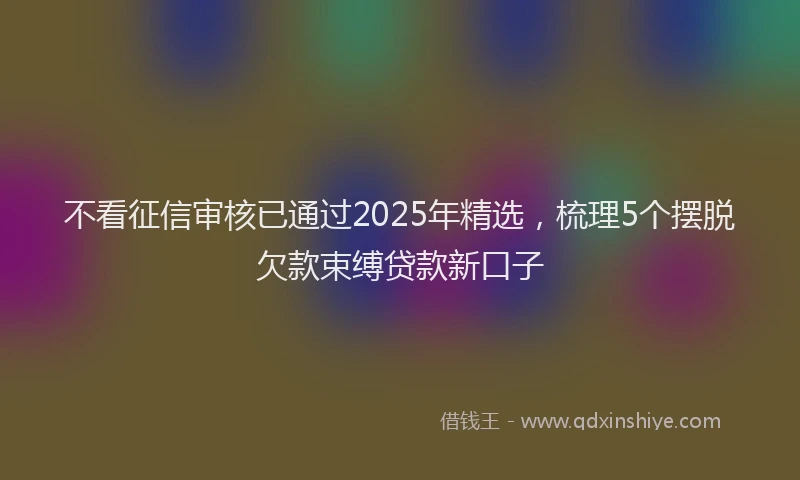 不看征信审核已通过2025年精选，梳理5个摆脱欠款束缚贷款新口子