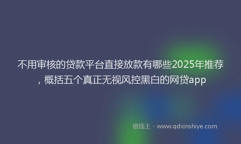 不用审核的贷款平台直接放款有哪些2025年推荐，概括五个真正无视风控黑白的网贷app