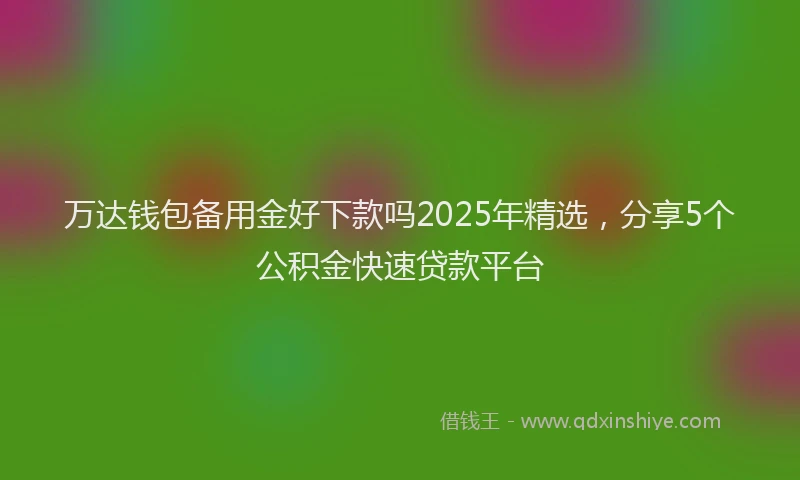 万达钱包备用金好下款吗2025年精选，分享5个公积金快速贷款平台