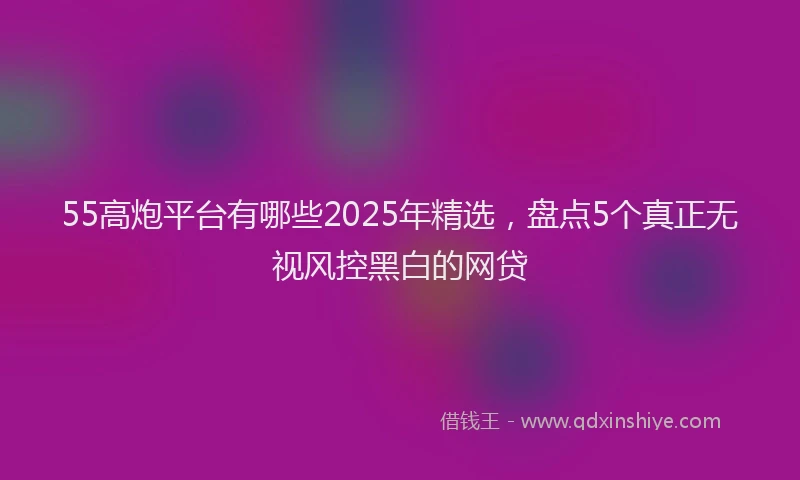55高炮平台有哪些2025年精选，盘点5个真正无视风控黑白的网贷