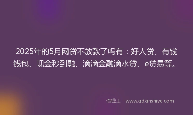 2025年的5月网贷不放款了吗有：好人贷、有钱钱包、现金秒到融、滴滴金融滴水贷、e贷易等。