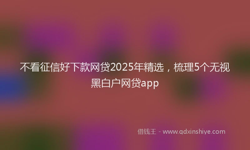 不看征信好下款网贷2025年精选，梳理5个无视黑白户网贷app