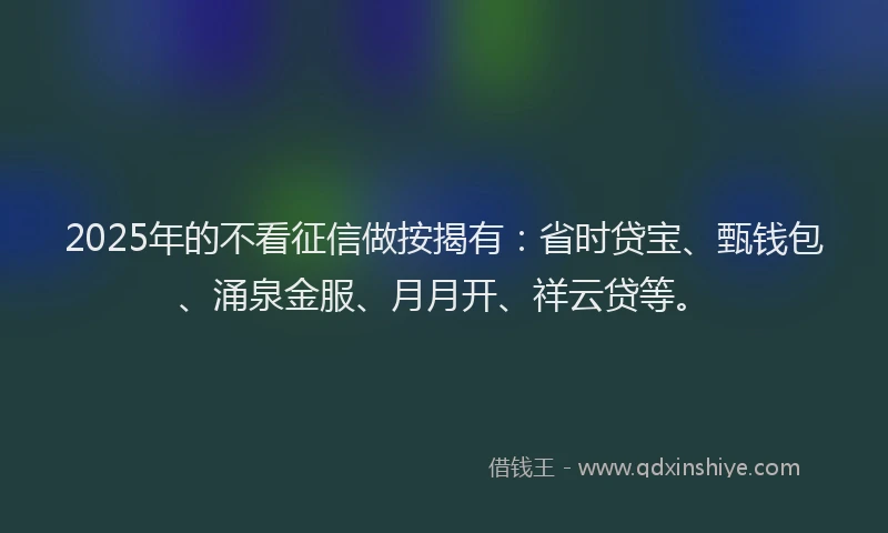 2025年的不看征信做按揭有：省时贷宝、甄钱包、涌泉金服、月月开、祥云贷等。