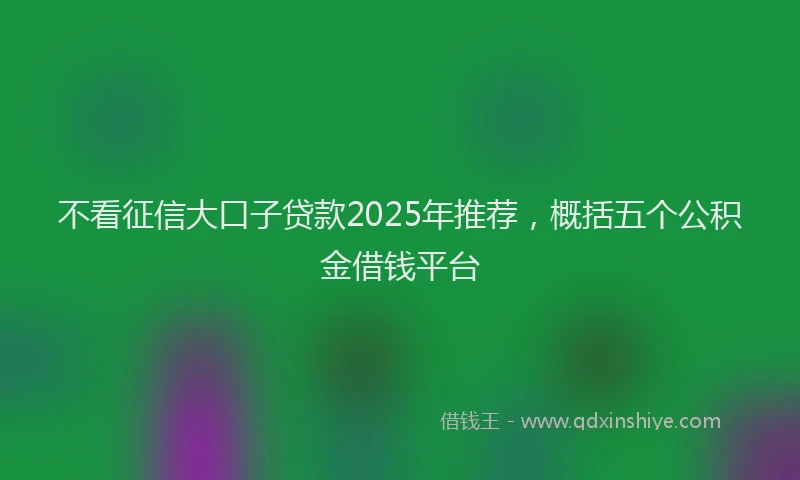 不看征信大口子贷款2025年推荐，概括五个公积金借钱平台